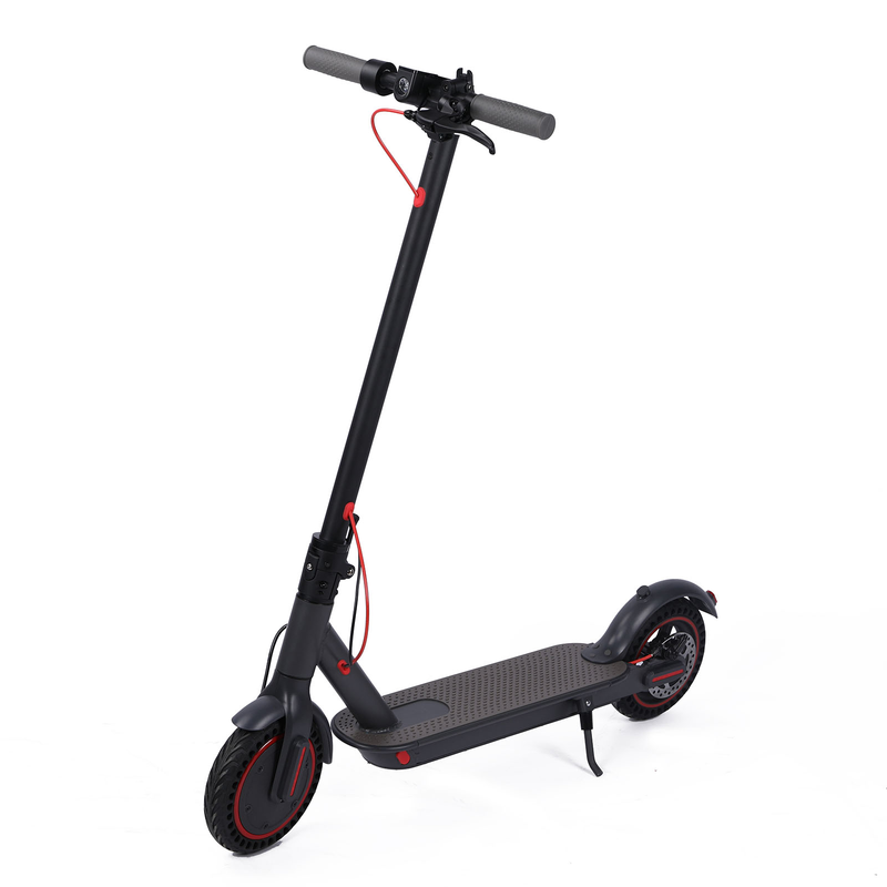 Electric Scooter - ESA Pro