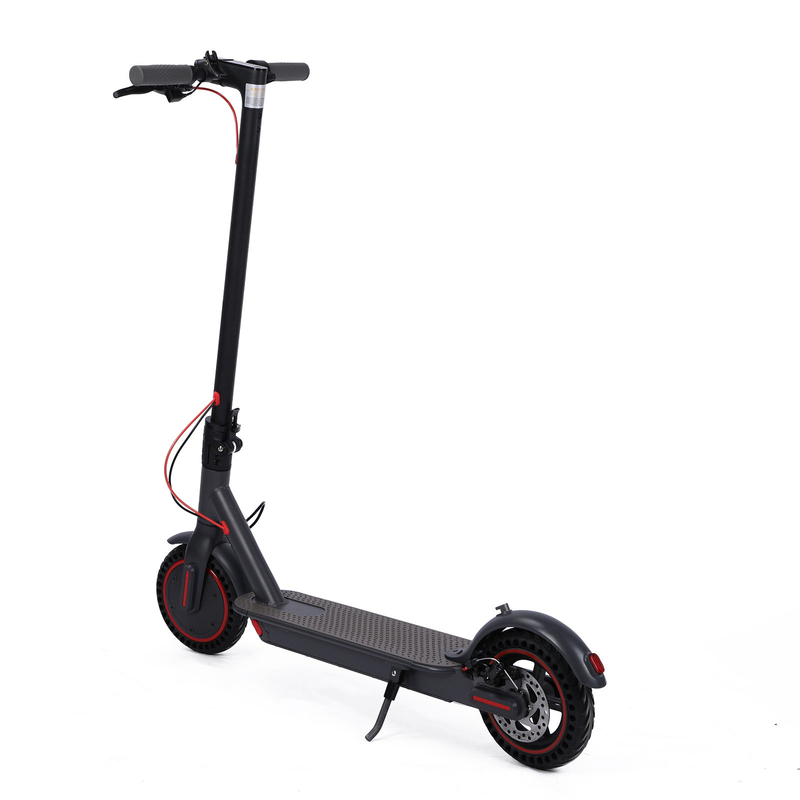 Electric Scooter - ESA Pro